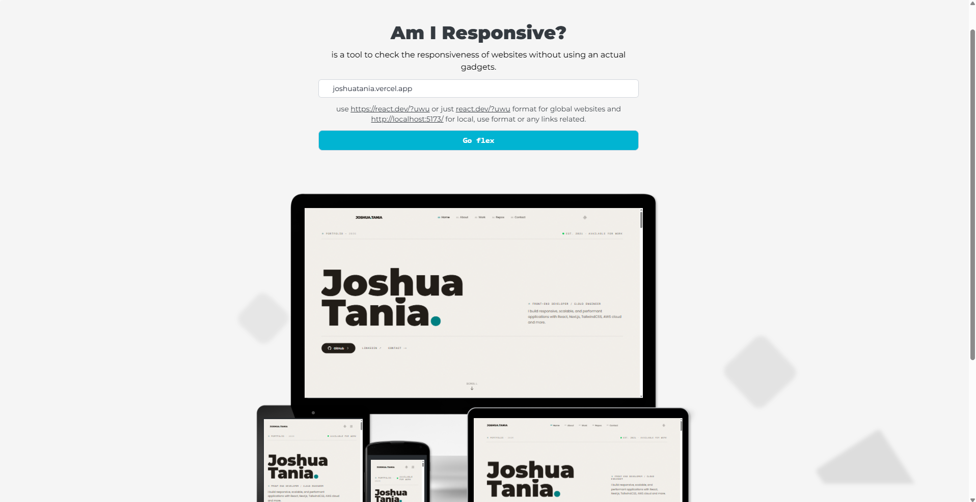 Am I Responsive? — desktop preview